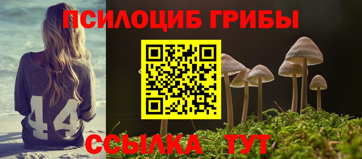 где можно купить   Вход с VPN  Галлюциногенные грибы мухоморы  Надым  Псилоцибиновые грибы мицелий 
